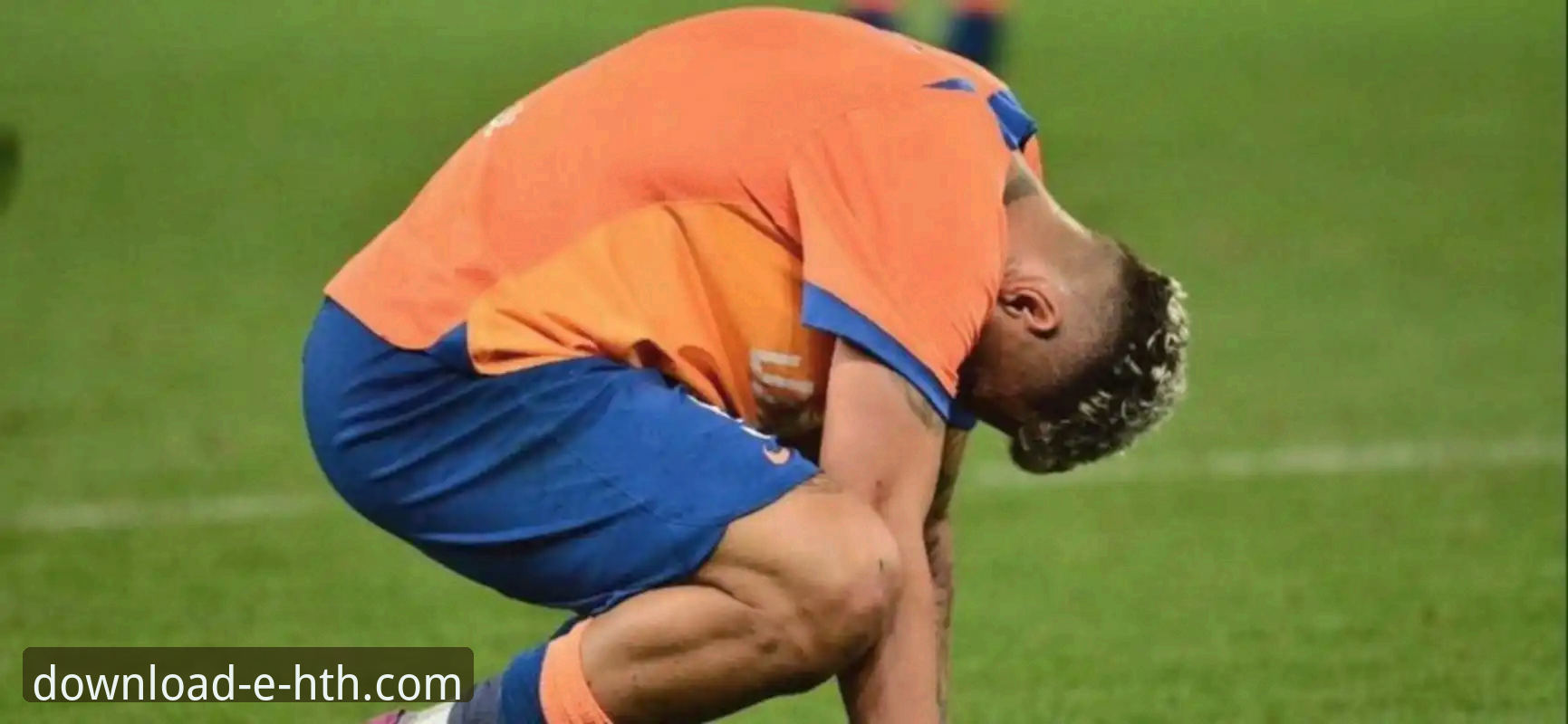 从帕尼切利伤退看体育资讯获取的实用技巧：如何高效追踪动态与深度分析